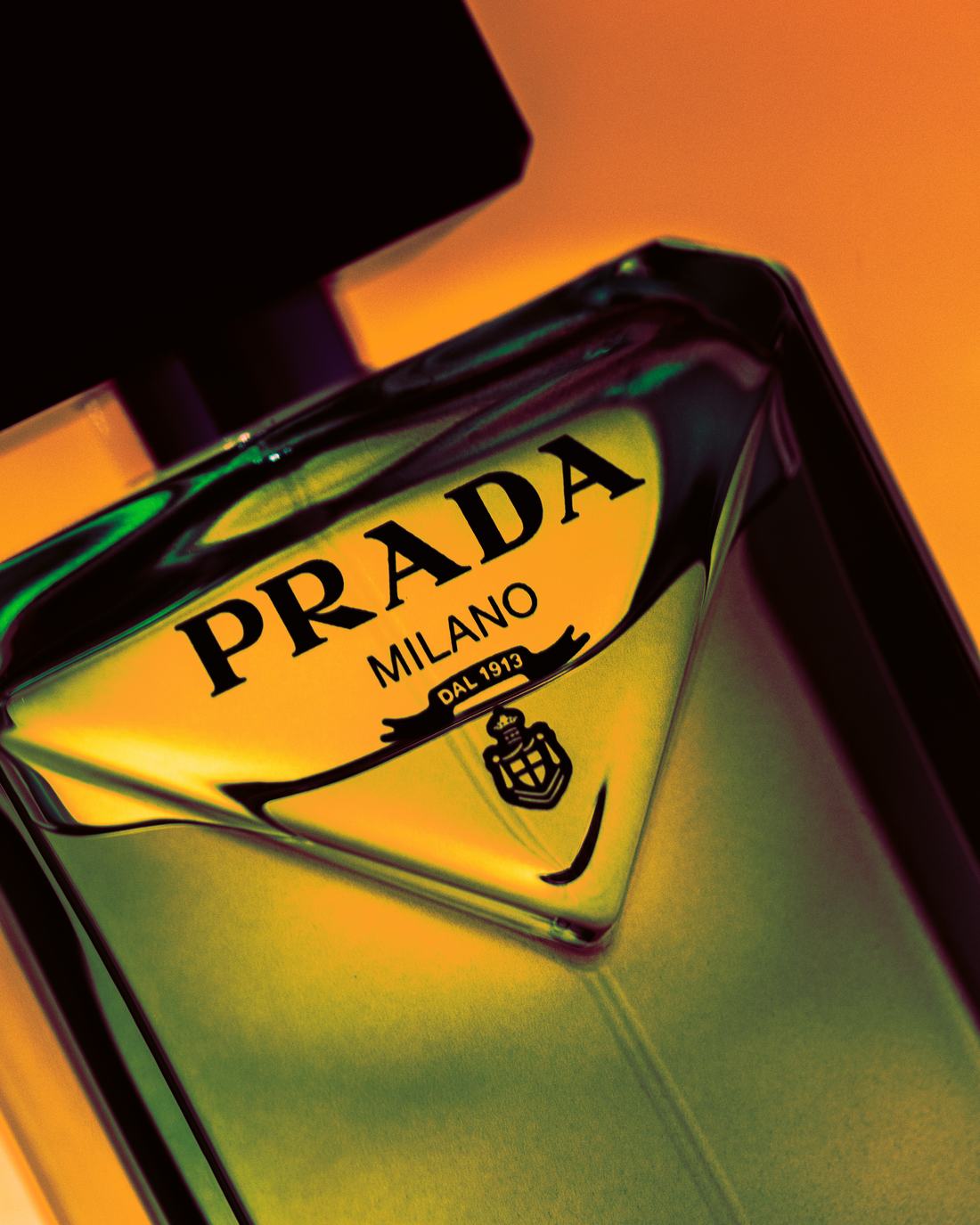 Prada by Acros Studio